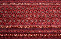 Arsari